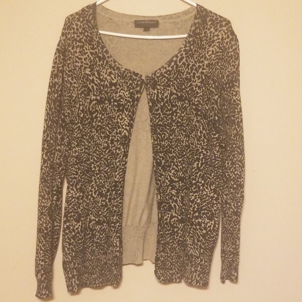 Cheetah print sweater